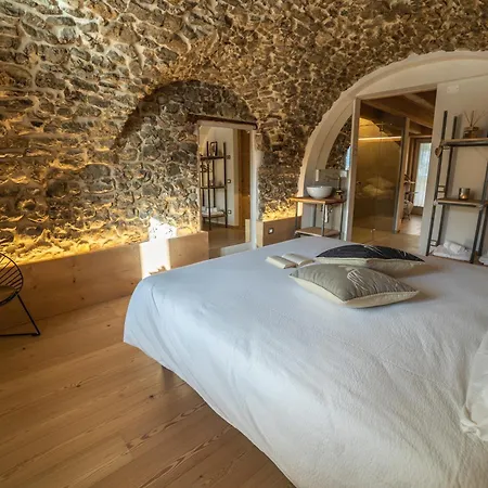 Bazzario B&B-3